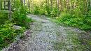 279 Barney'S Boulevard, Northern Bruce Peninsula, ON 