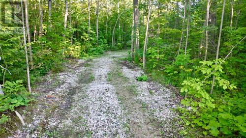 279 Barney'S Boulevard, Northern Bruce Peninsula, ON 