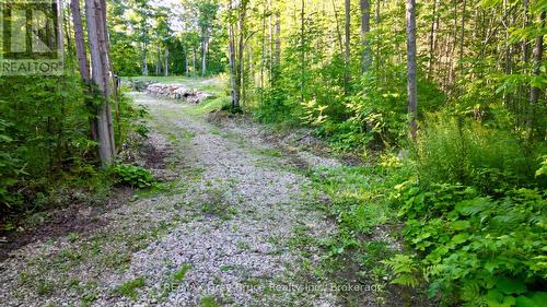 279 Barney'S Boulevard, Northern Bruce Peninsula, ON 