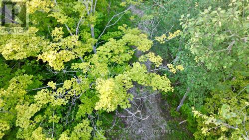279 Barney'S Boulevard, Northern Bruce Peninsula, ON 