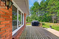 Backyard Deck - 