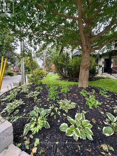 2ND FLOOR - 10 LASCELLES BOULEVARD , Toronto, Ontario M4V 2B5 2
