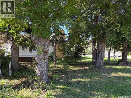 133 2Nd Avenue Ne, Wadena, SK 