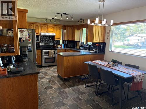 133 2Nd Avenue Ne, Wadena, SK 