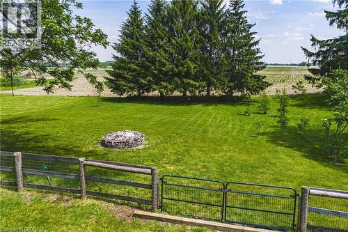 Property extends to the tall evergreens - Farmer's Field - 670 Mount Pleasant Road, Mount Pleasant, ON 