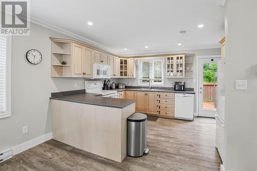 161 Lanark Drive, Paradise, NL 