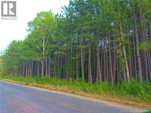 1030 Cox Point Road, Cumberland Bay, NB 