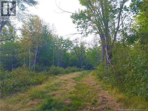 1030 Cox Point Road, Cumberland Bay, NB 