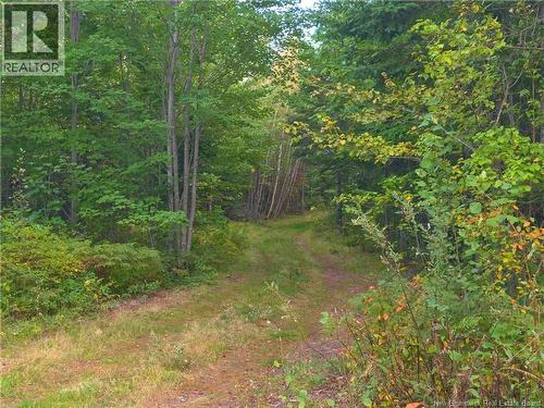 1030 Cox Point Road, Cumberland Bay, NB 
