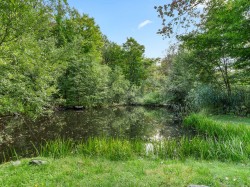Wooded area - 