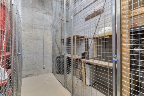 Storage - 703-288 Rue Ann, Montréal (Le Sud-Ouest), QC 