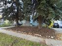1115 13Th Street E, Saskatoon, SK 