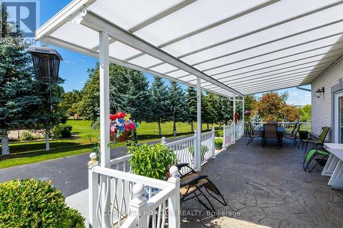 16 Rosegarden Drive, Brampton, ON 