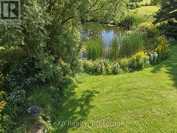 Pond - 