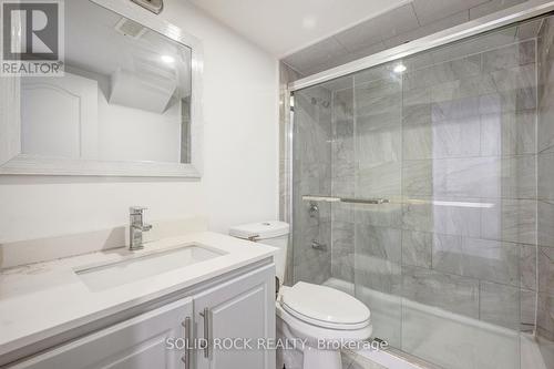 Basement Bath 1 - 93 Parity Road, Brampton, ON 