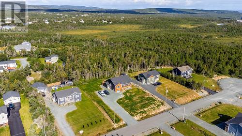 43 Huberts Place, Flatrock, NL 