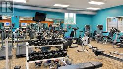 Lighthouse Point Rec Centre - Gym - 