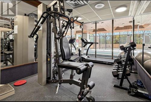 Gym/Fitness Room - 406 - 1360 Rathburn Road E, Mississauga, ON 