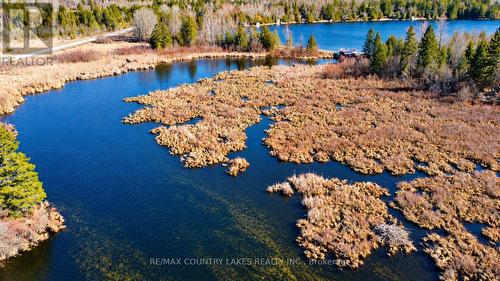 Lt 5 Victoria Road, Kawartha Lakes, ON 
