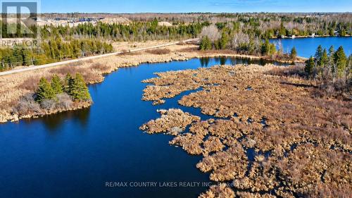 Lt 5 Victoria Road, Kawartha Lakes, ON 