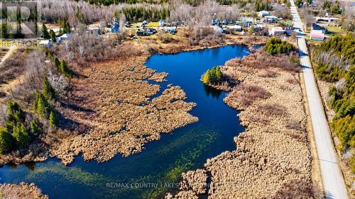 Lt 5 Victoria Road, Kawartha Lakes, ON 