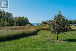 View from the deck - 