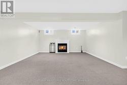 Large Recreation Room - 