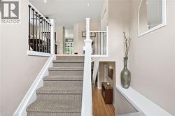 Carpeted staircase with white risers, black metal balusters, and wood-finish flooring - 