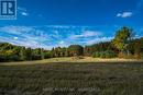 111 Buck Bay Road, Frontenac (Frontenac South), ON 