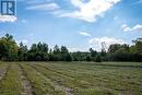 111 Buck Bay Road, Frontenac (Frontenac South), ON 