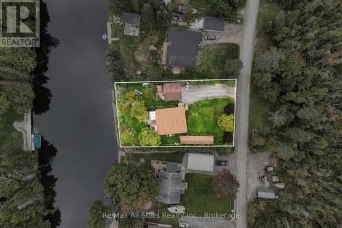 97 Cedarplank Road, Kawartha Lakes (Somerville), ON 