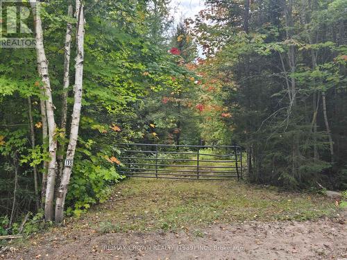 135 Simpson Hill Road, Machar, ON 