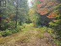 135 Simpson Hill Road, Machar, ON 