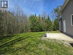 Expansive green lawn bordered by a mix of mature deciduous and evergreen trees - 