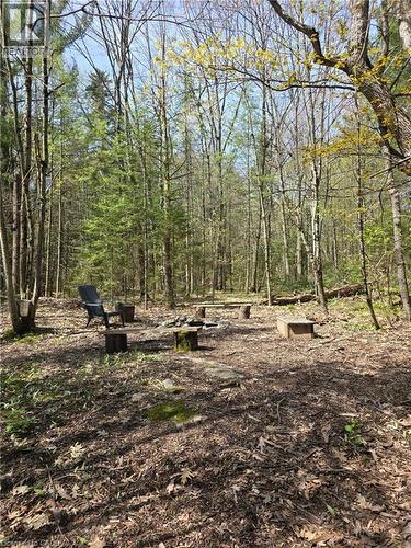 Wooded property featuring a clearing for outdoor activities - 2516 Irish Line, Coldwater, ON 