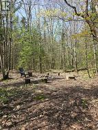 Wooded property featuring a clearing for outdoor activities - 