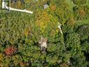Pt Lt 15 Baseline Road, West Grey, ON 