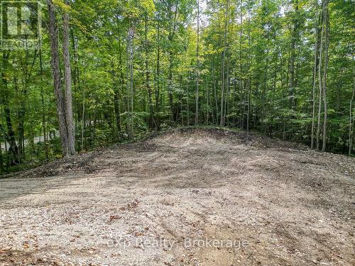 Pt Lt 15 Baseline Road, West Grey, ON 