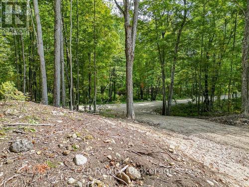 Pt Lt 15 Baseline Road, West Grey, ON 