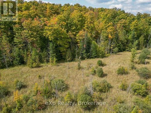 Pt Lt 15 Baseline Road, West Grey, ON 