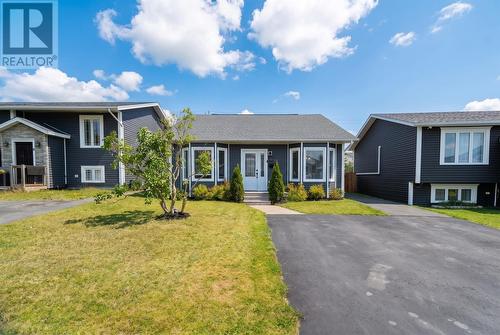 37 Dungarvan Street, Paradise, NL 