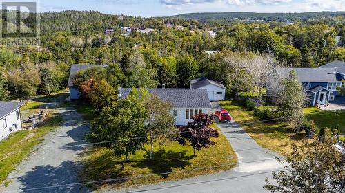 17 Hilltop Lane, Portugal Cove - St. Philip'S, NL 