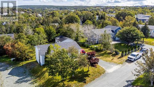 17 Hilltop Lane, Portugal Cove - St. Philip'S, NL 