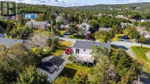 17 Hilltop Lane, Portugal Cove - St. Philip'S, NL 