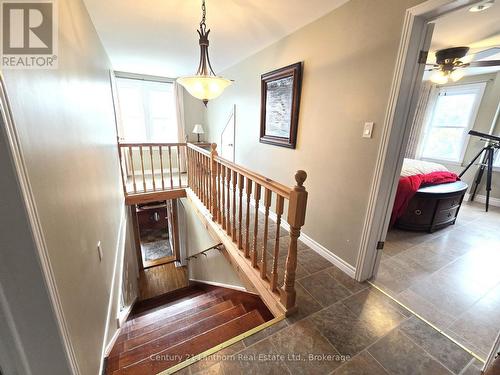8567 Old Hastings Road, Tudor & Cashel, ON 