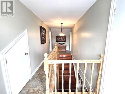8567 Old Hastings Road, Tudor & Cashel, ON 