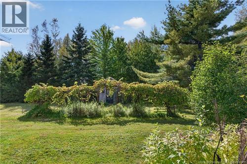 12454 Hwy 126, Murray Settlement, NB 