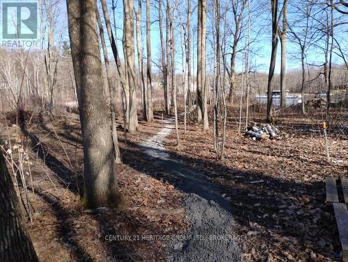 828 Thomas Road, Rideau Lakes, ON 