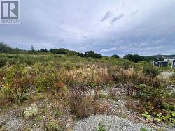 Lot #4 - 
