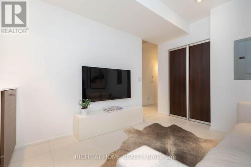 248 Manning Avenue, Toronto, ON 